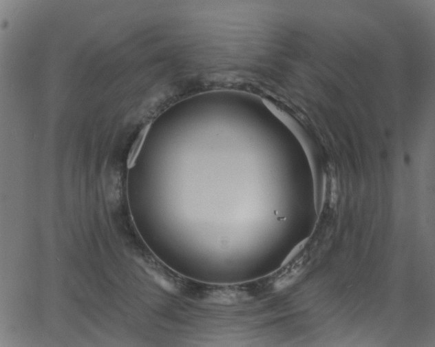 X0000068770708200605011027