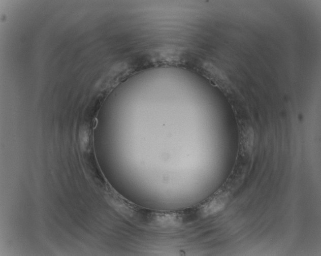 X0000068770709200605011027