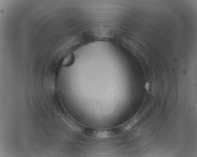 X0000068770710200605011027