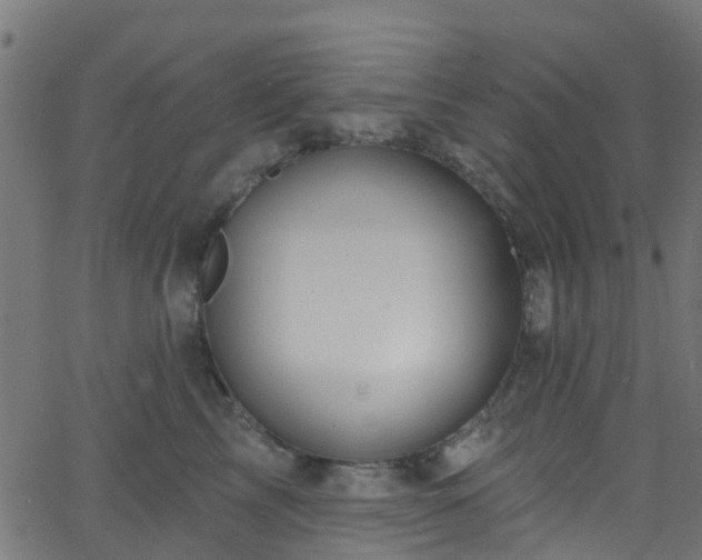 X0000068770713200605011027