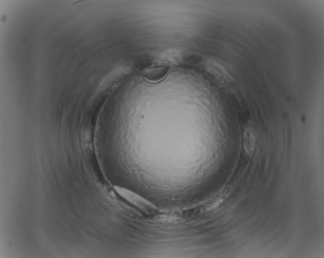 X0000068770714200605011027