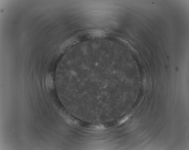 X0000068770715200605011027