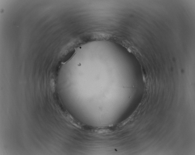 X0000068770716200605011027