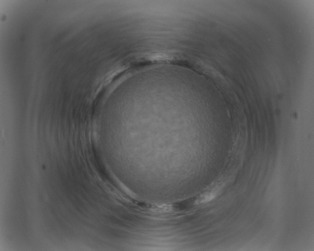 X0000068770720200605011027