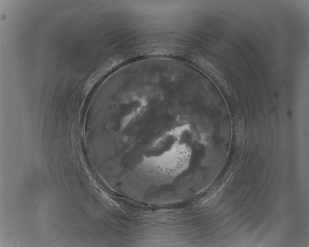 X0000068770721200605011026