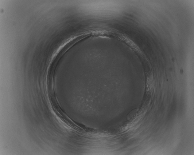 X0000068770722200605011026