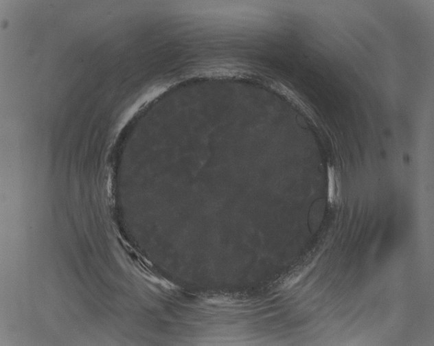 X0000068770723200605011026