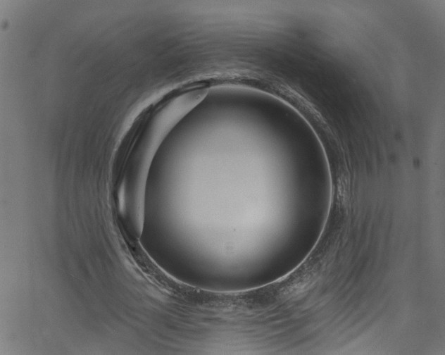 X0000068770724200605011026