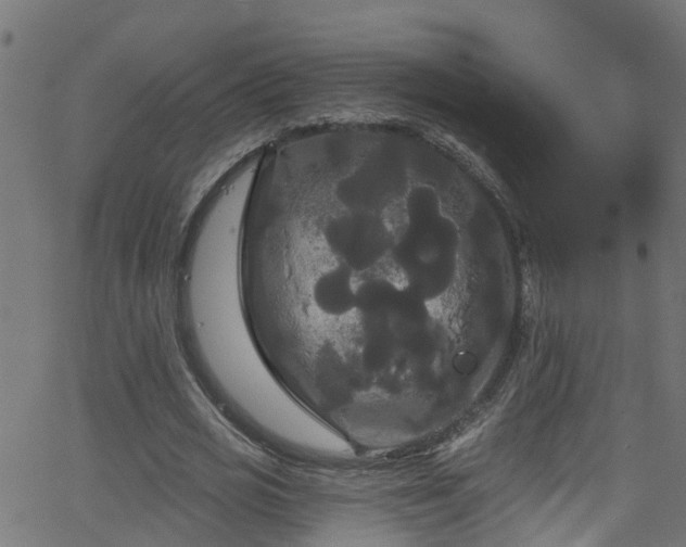 X0000068770725200605011026