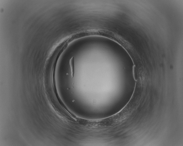 X0000068770728200605011026