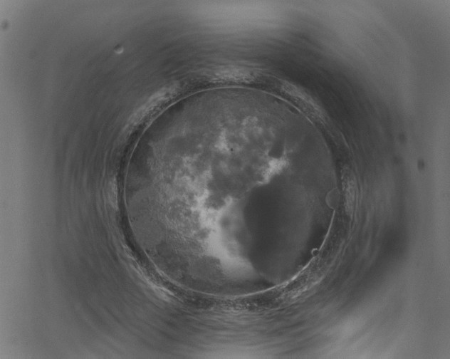 X0000068770729200605011026