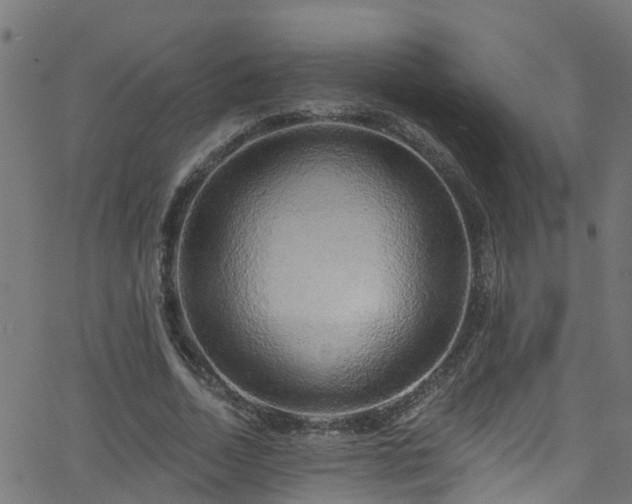 X0000068770730200605011026