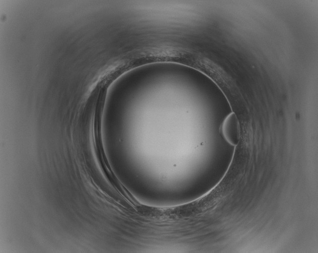 X0000068770731200605011026