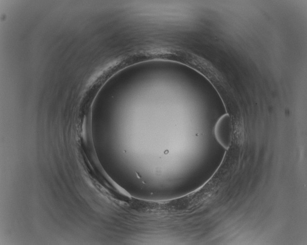 X0000068770732200605011026