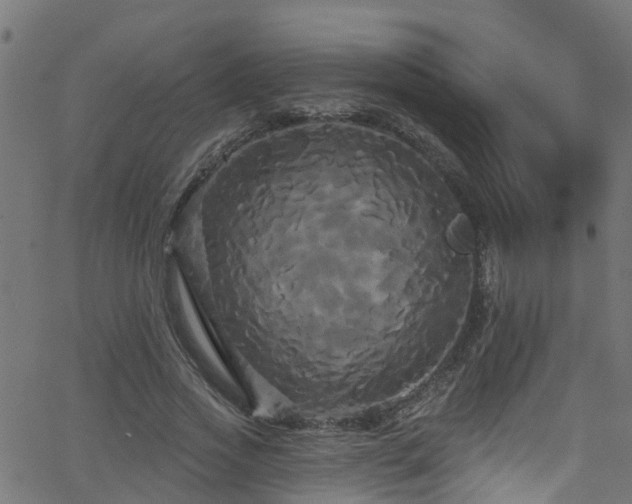 X0000068770733200605011026