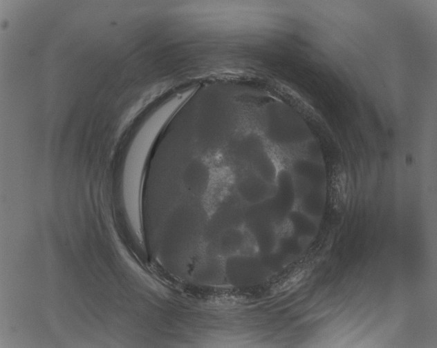 X0000068770734200605011026