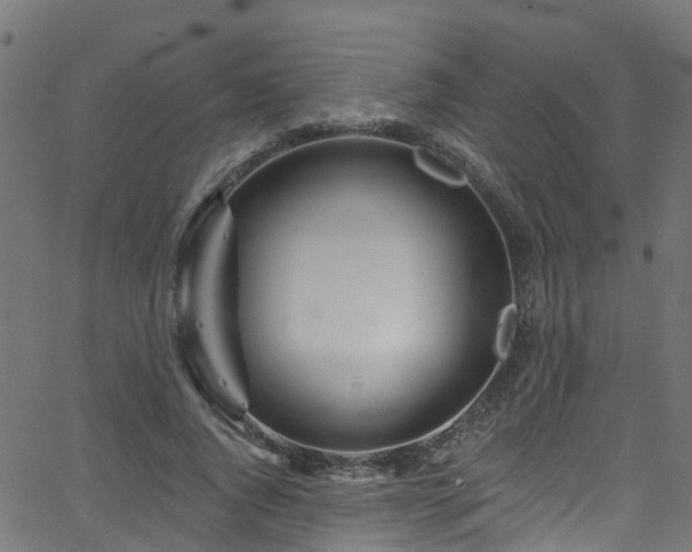 X0000068770736200605011026