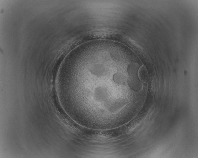 X0000068770737200605011026