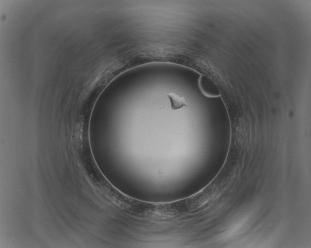 X0000068770739200605011026