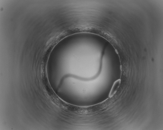 X0000068770740200605011026