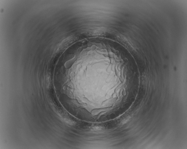 X0000068770741200605011026