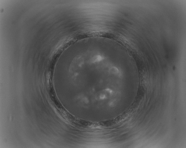 X0000068770742200605011026