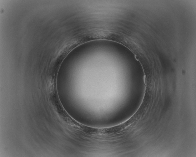 X0000068770743200605011026