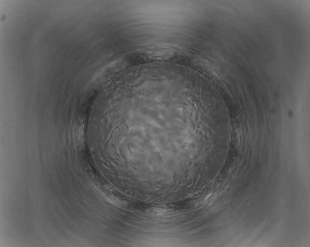 X0000068770745200605011026