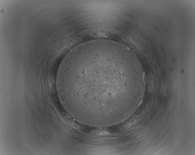 X0000068770747200605011026