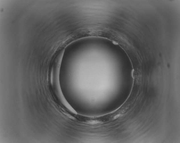 X0000068770748200605011026