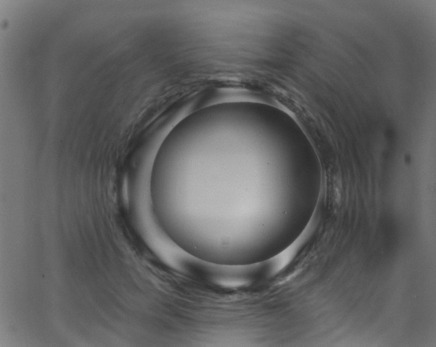 X0000068770750200605011027