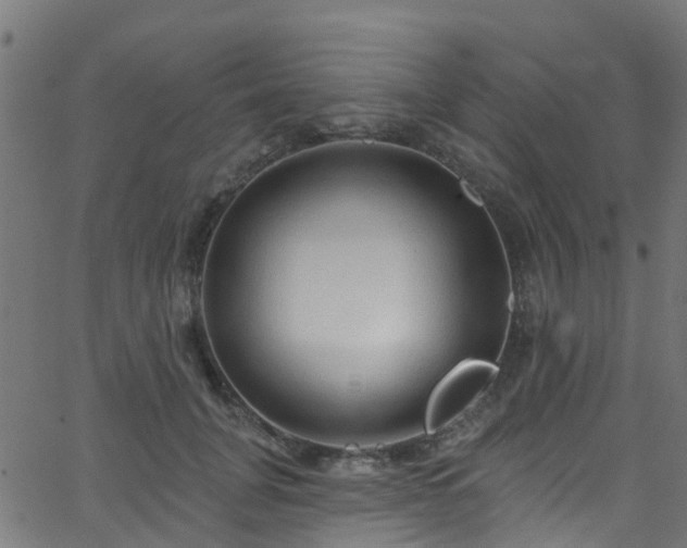 X0000068770751200605011027