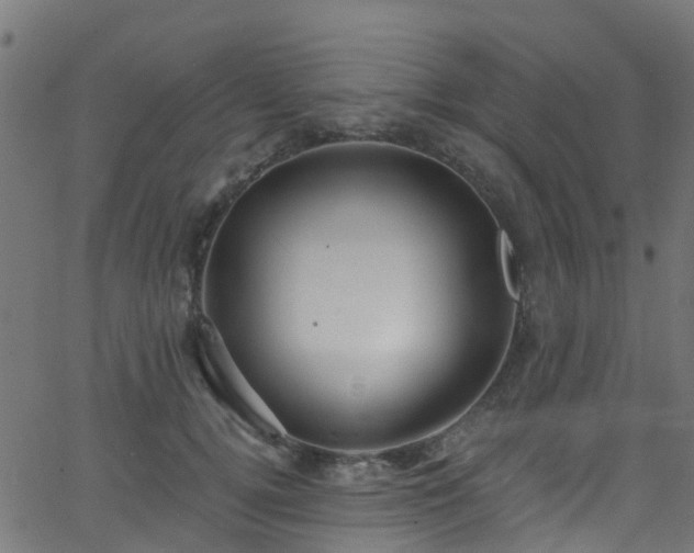 X0000068770752200605011027