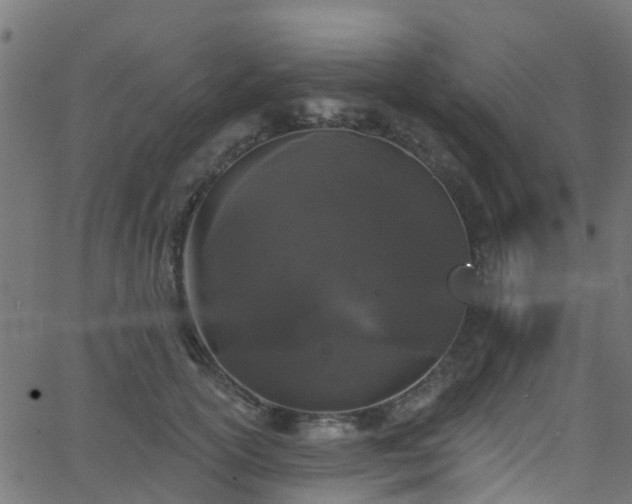 X0000068770754200605011027