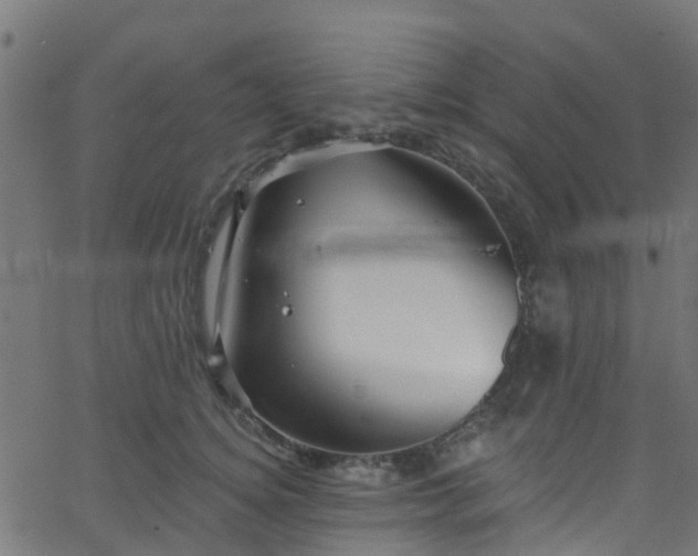 X0000068770756200605011027