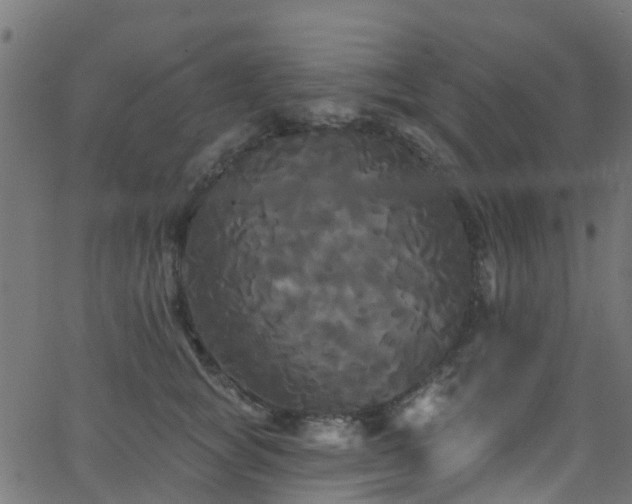 X0000068770757200605011027