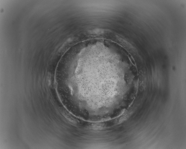 X0000068770758200605011027