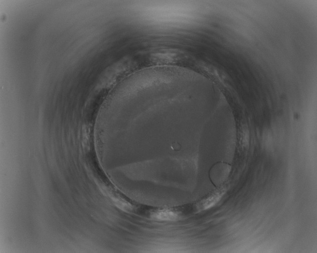 X0000068770759200605011027