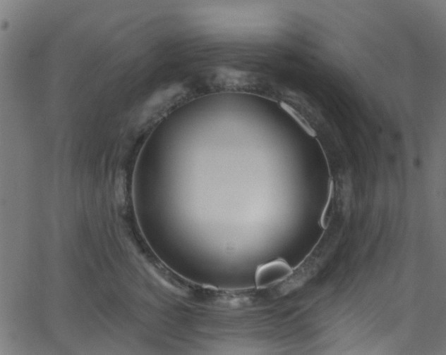 X0000068770760200605011027