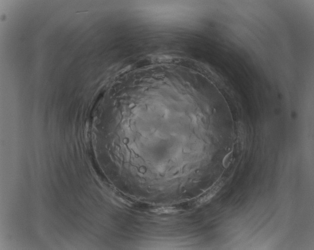 X0000068770761200605011027