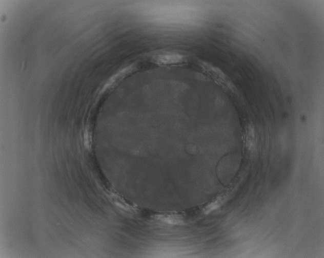 X0000068770763200605011027