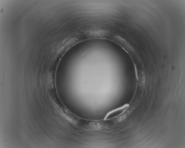 X0000068770764200605011027