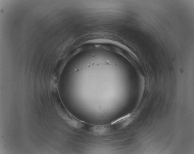 X0000068770766200605011027