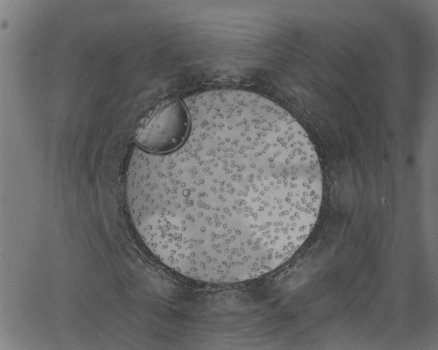 X0000068770769200605011026