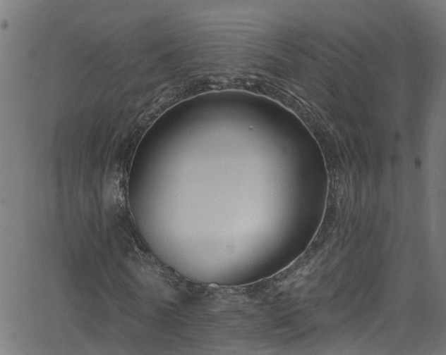 X0000068770770200605011026