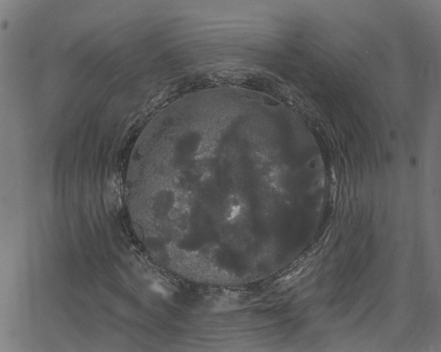 X0000068770772200605011026