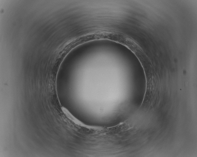 X0000068770773200605011026