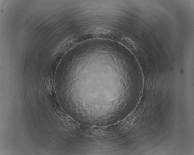 X0000068770774200605011026