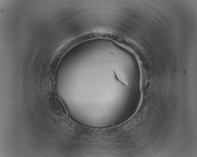 X0000068770776200605011026