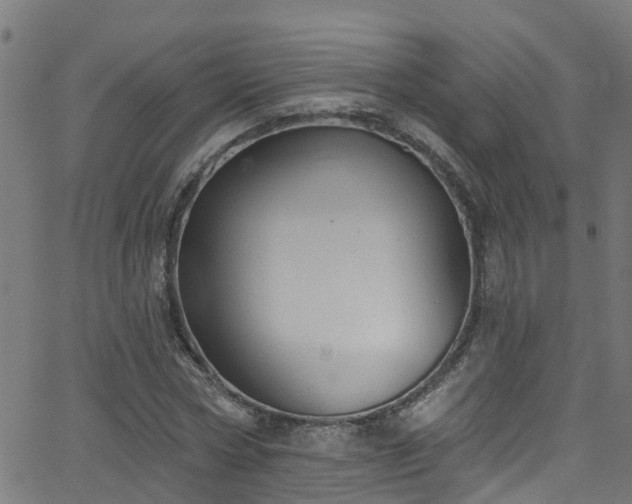 X0000068770778200605011026